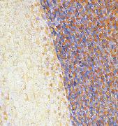 Georges Seurat Detail of Dance France oil painting artist